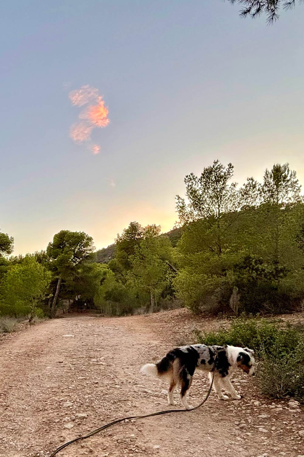 calo-den-monjo-mallorca-weg