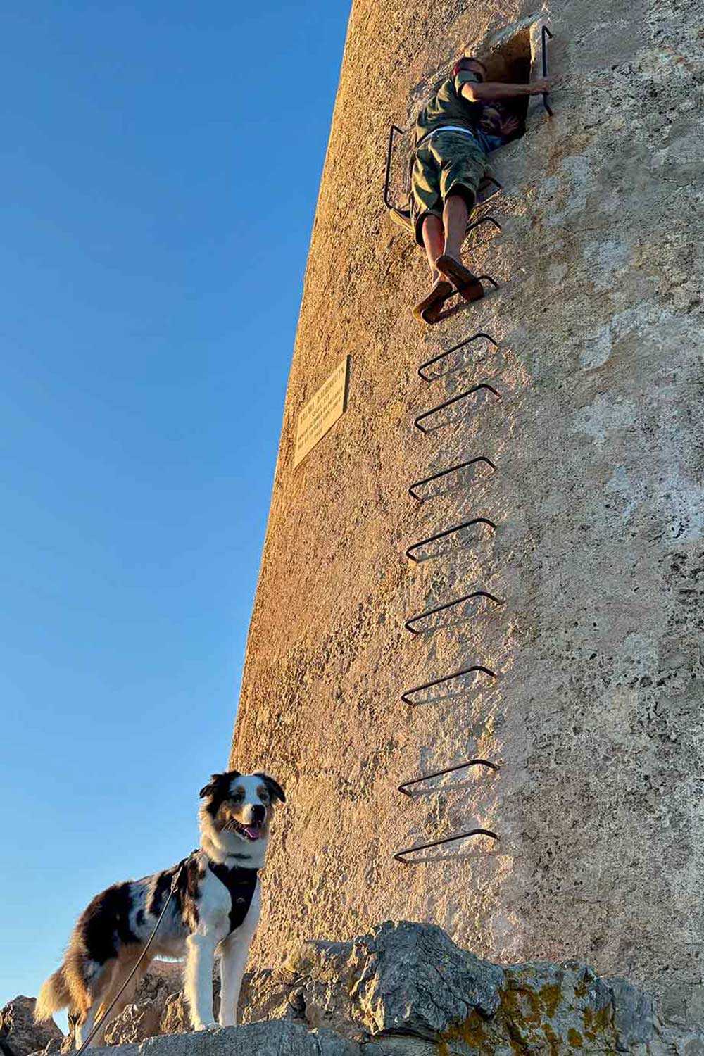 Albercutx-Wachturm-Mallorca-Dog