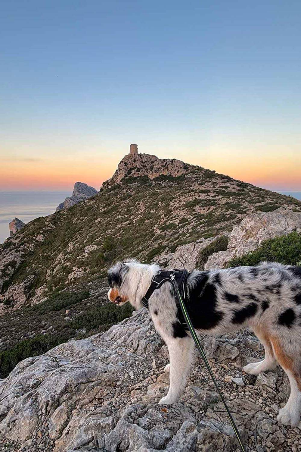 Albercutx-Wachturm-Mallorca-view