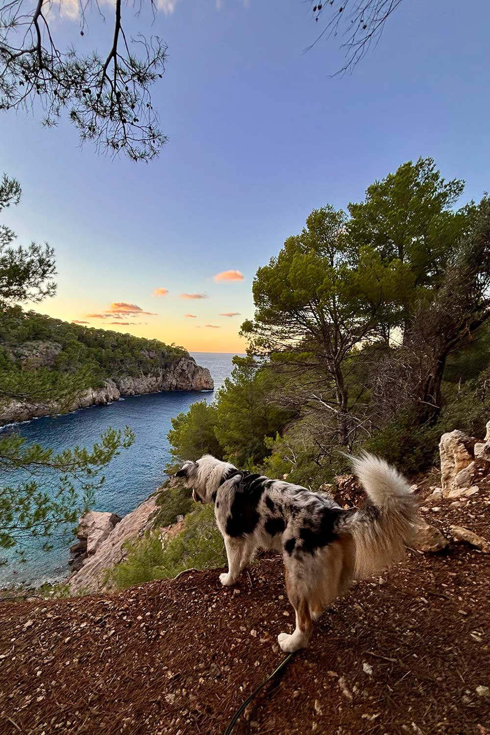 Cala-Deià-Mallorca-view