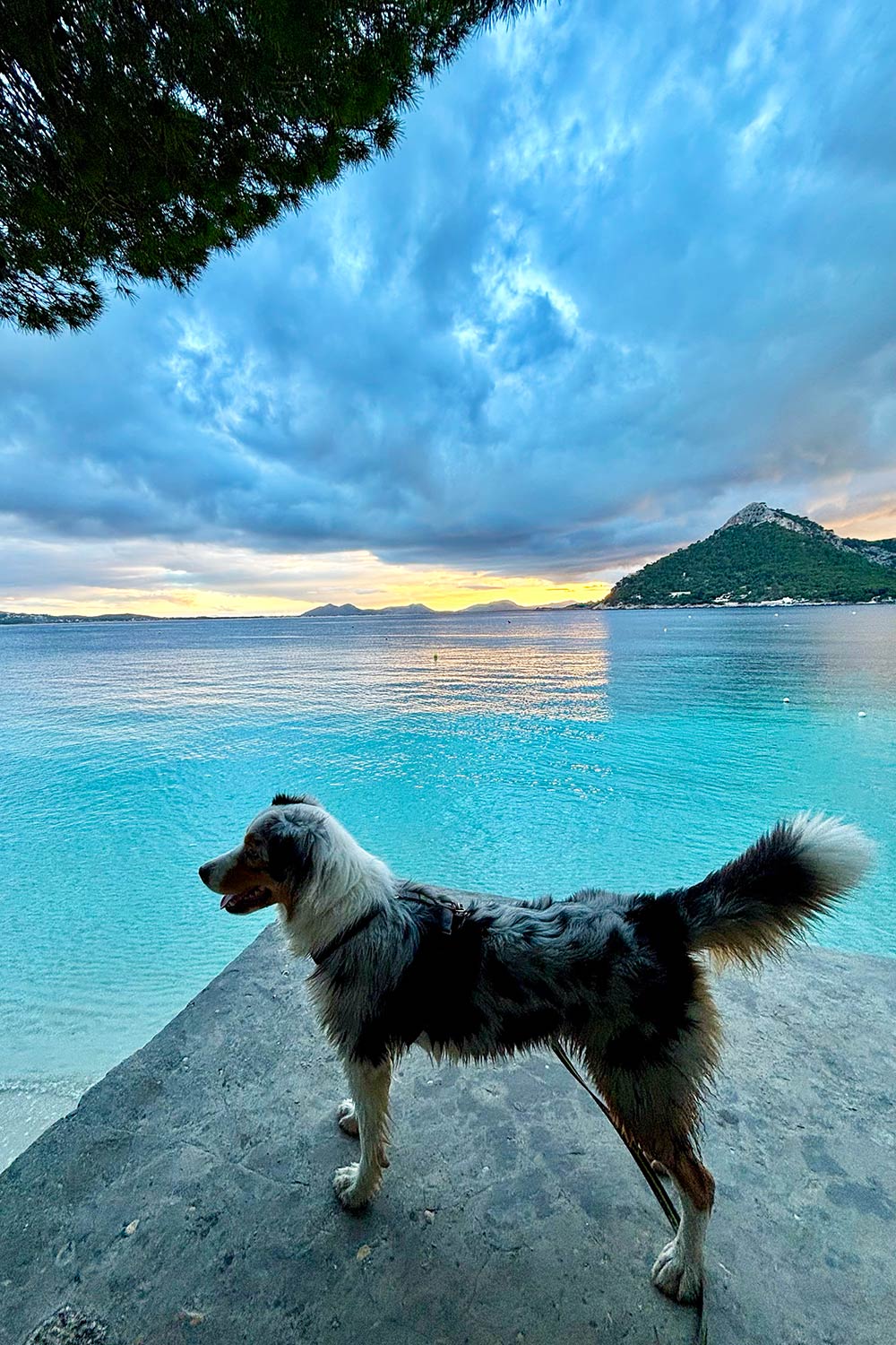 Playa-Formentor-Mallorca-Lilly