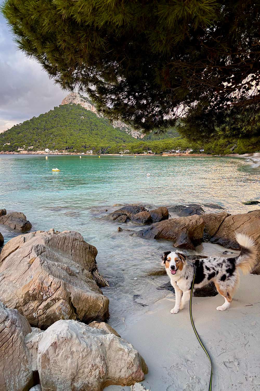 Playa-Formentor-Mallorca-Natur