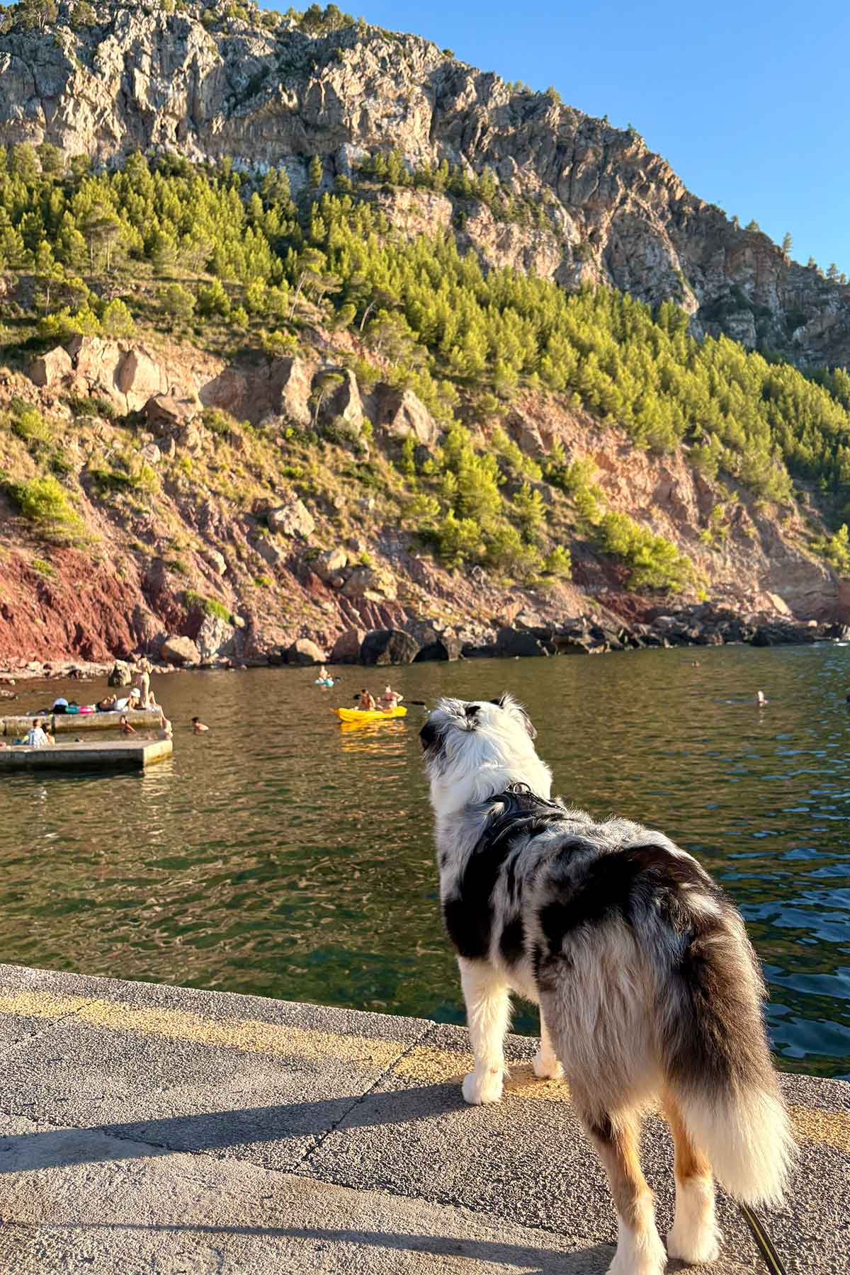 Port-de-Valldemossa-Mallorca-Lilly