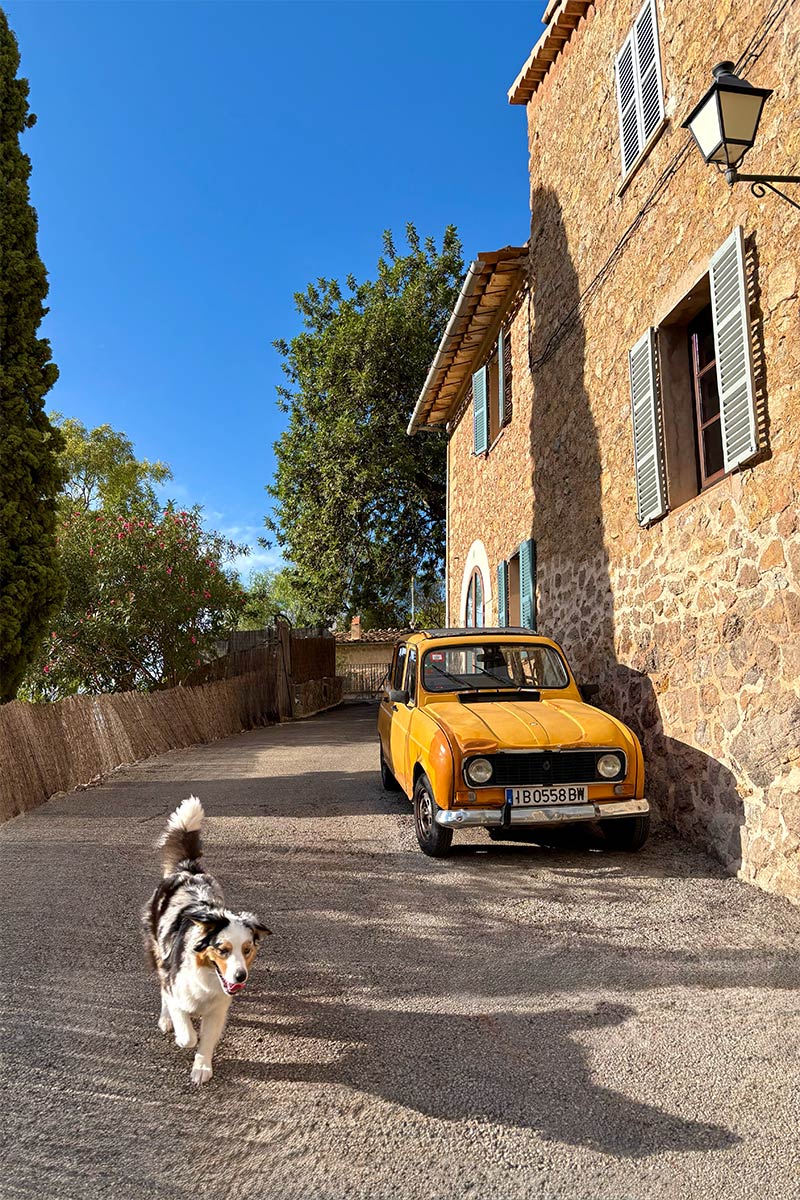 Deià-Mallorca-CoastPaws