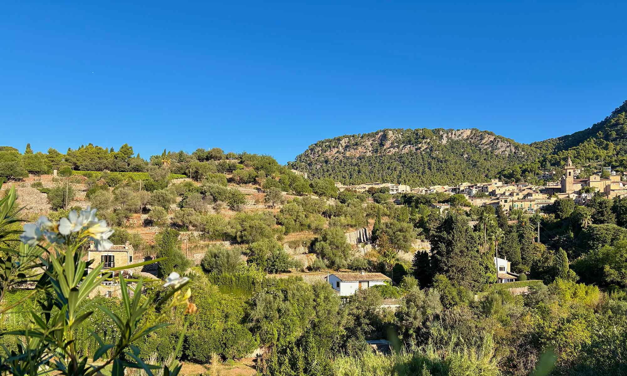 Valldemossa-Blick