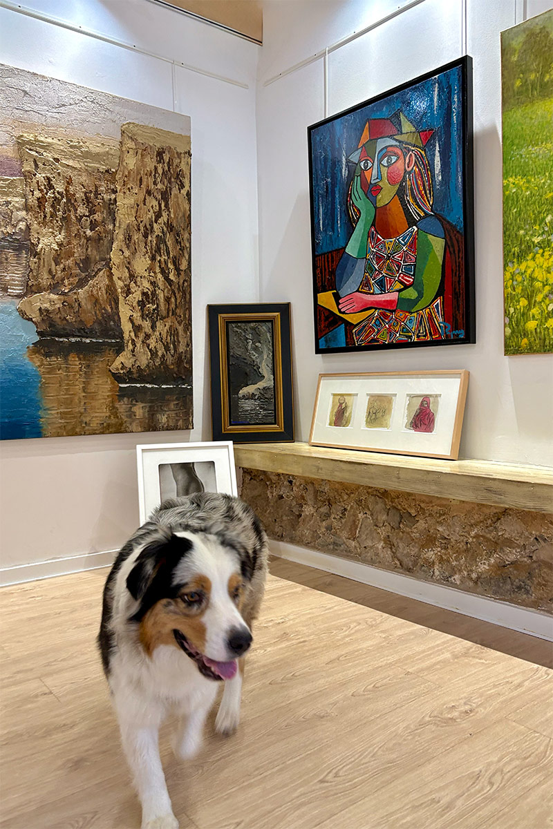 Valldemossa-Lilly-Art-Gallery